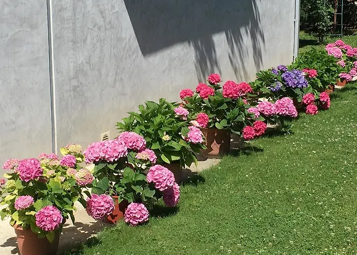 Iacca Ξενοδοχείο Χάκα